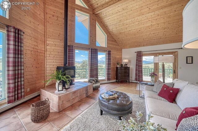 895 Acorn Rd, Cotopaxi, CO 81223 - photo 4
