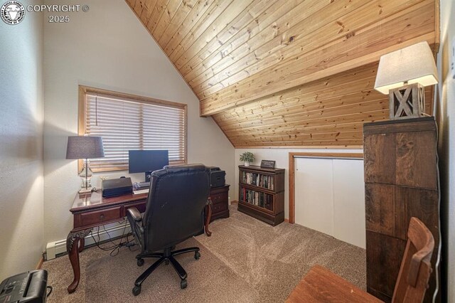 895 Acorn Rd, Cotopaxi, CO 81223 - photo 21