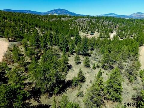 Listing photo 3 for 39 Staghorn Ln, Canon City CO 81212