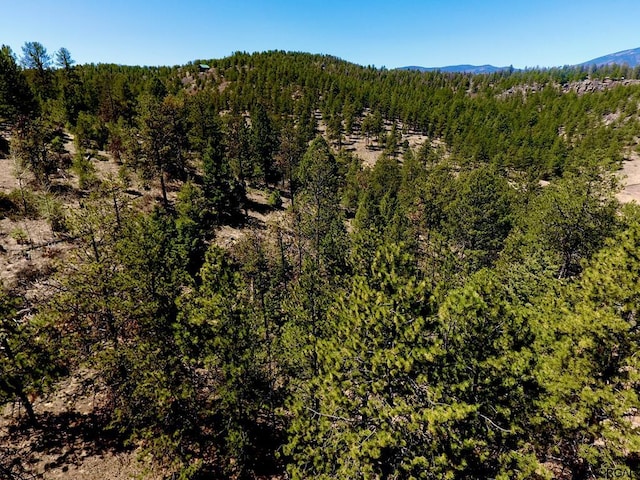 39 Staghorn Ln, Canon City CO, 81212 land for sale