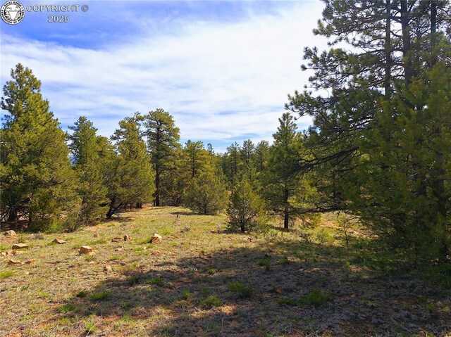 TBD Seven Mile Ranch Rd, Westcliffe, CO 81252