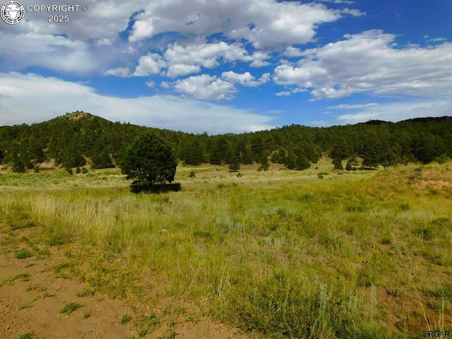 TBD Seven Mile Ranch Rd, Westcliffe CO, 81252 land for sale