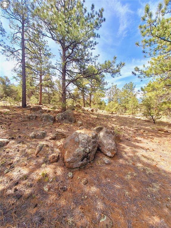 TBD Seven Mile Ranch Rd, Westcliffe, CO 81252