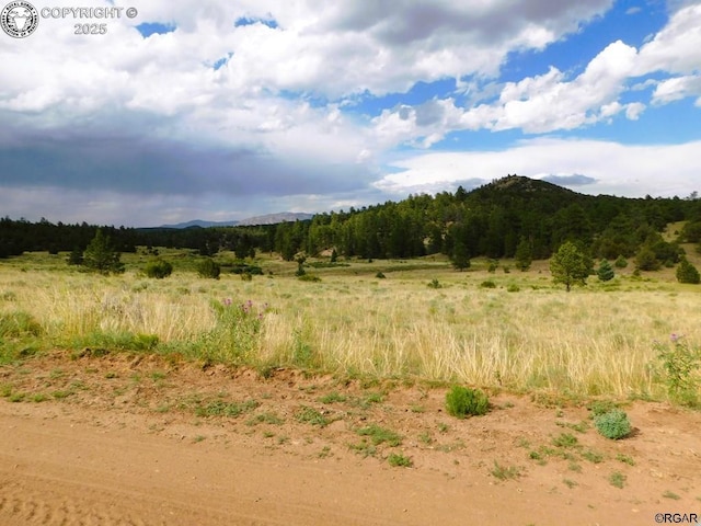 Listing photo 3 for TBD Seven Mile Ranch Rd, Westcliffe CO 81252