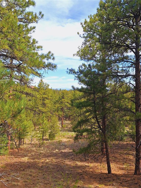 TBD Seven Mile Ranch Rd, Westcliffe, CO 81252
