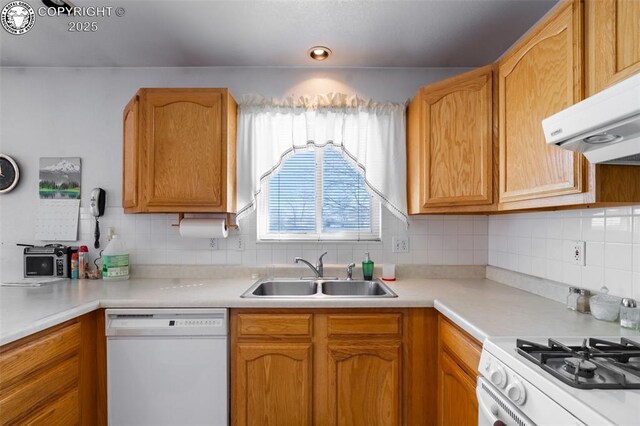 kitchen featuring sink, white appliances, ventilation hood, and decorative backsplash