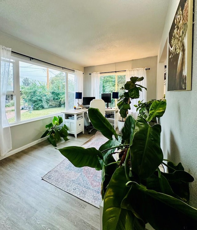 sunroom with a healthy amount of sunlight