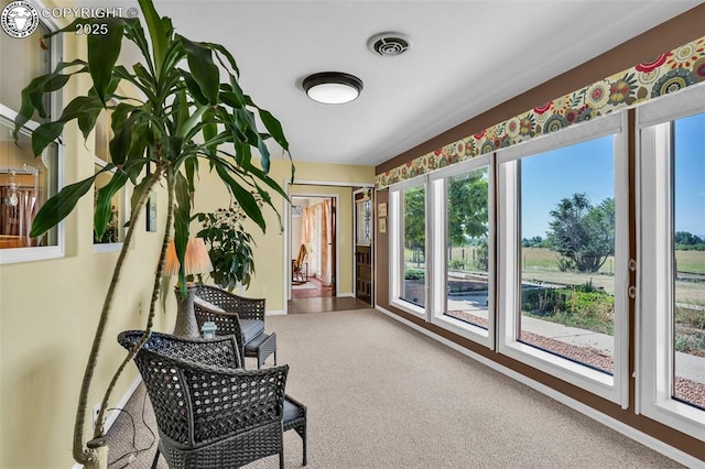 925 2nd St, Penrose, CO 81240 - sunroom / solarium with carpet and baseboards