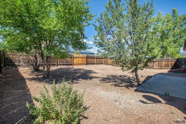 view of yard featuring a patio