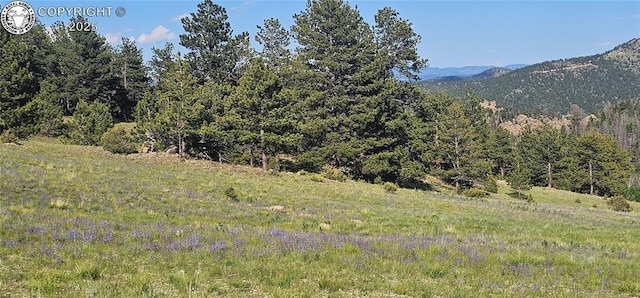 340 Holt Dr, Canon City, CO 81212