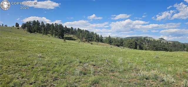 340 Holt Dr, Canon City, CO 81212