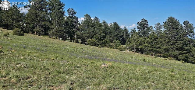 340 Holt Dr, Canon City, CO 81212