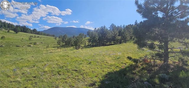 340 Holt Dr, Canon City, CO 81212