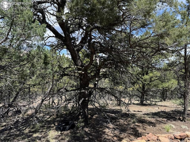 TBD 33rd Trail, Cotopaxi, CO 81223
