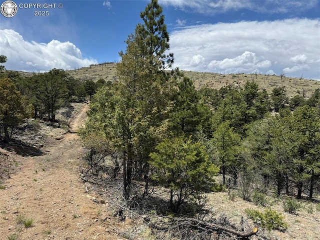 TBD 33rd Trail, Cotopaxi, CO 81223