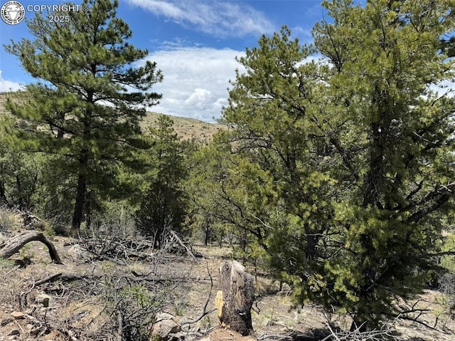 TBD 33rd Trail, Cotopaxi, CO 81223