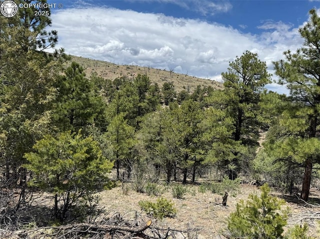 TBD 33rd Trail, Cotopaxi, CO 81223
