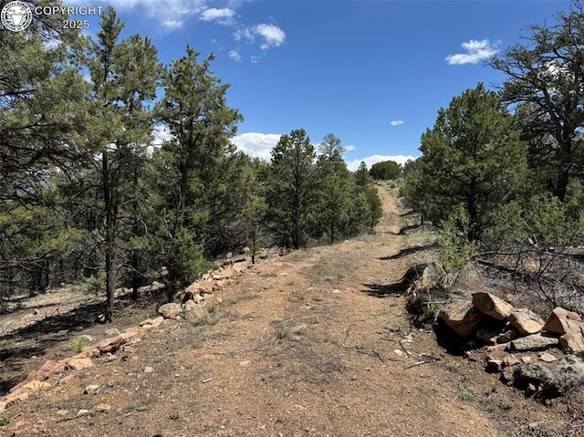 TBD 33rd Trail, Cotopaxi, CO 81223