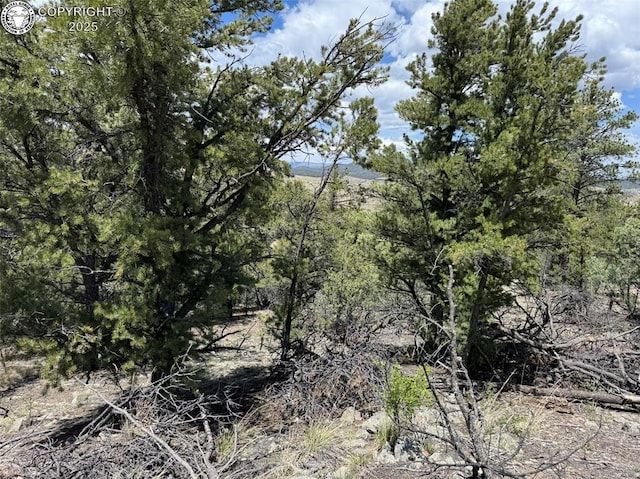 TBD 33rd Trail, Cotopaxi, CO 81223