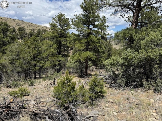 TBD 33rd Trail, Cotopaxi, CO 81223