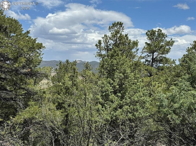 TBD 33rd Trail, Cotopaxi, CO 81223