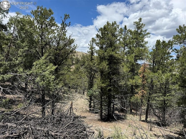 TBD 33rd Trail, Cotopaxi, CO 81223