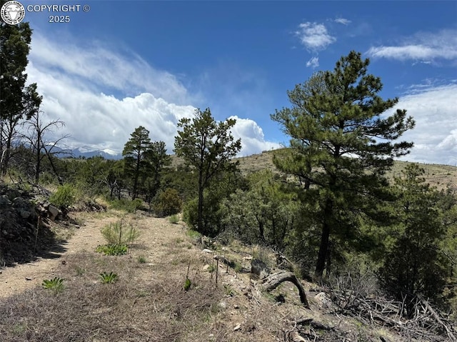 TBD 33rd Trail, Cotopaxi, CO 81223
