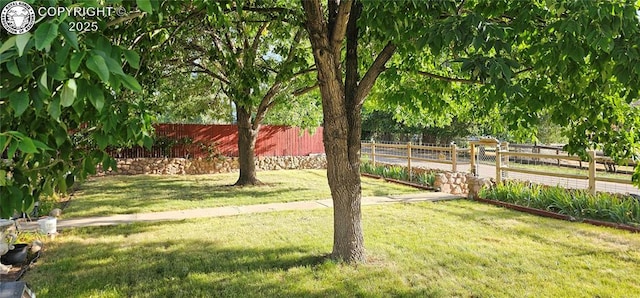 1540 Lombard St, Canon City, CO 81212 - view of yard