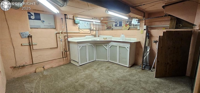 1540 Lombard St, Canon City, CO 81212 - below grade area featuring carpet