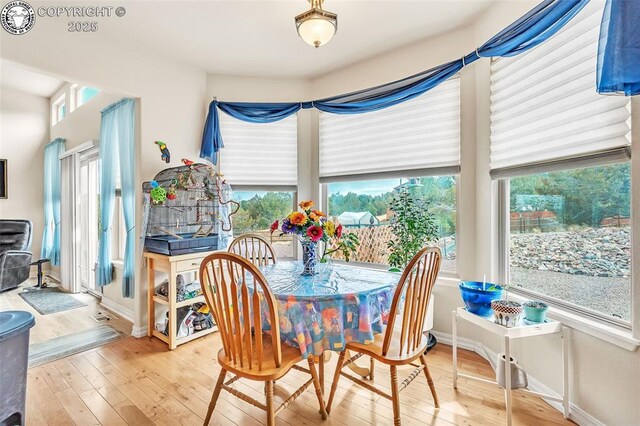 154 S Osprey Ct, Canon City, CO 81212 - photo 12