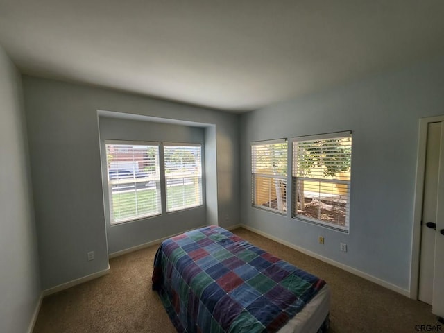 bedroom featuring carpet