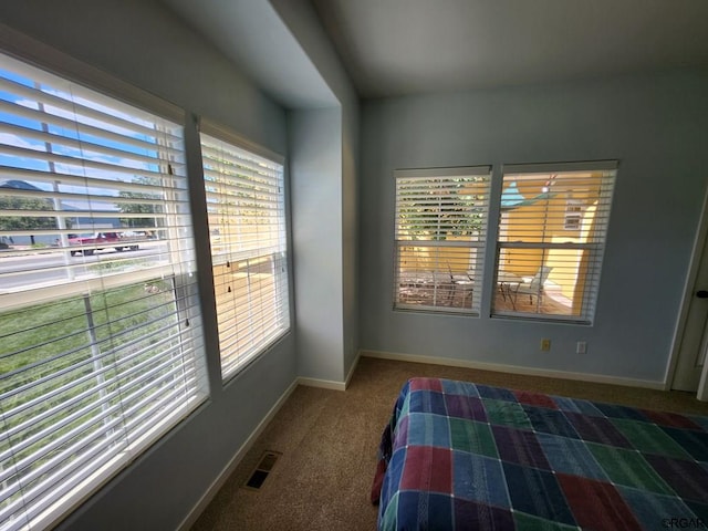 unfurnished bedroom with carpet floors