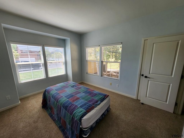 carpeted bedroom featuring multiple windows