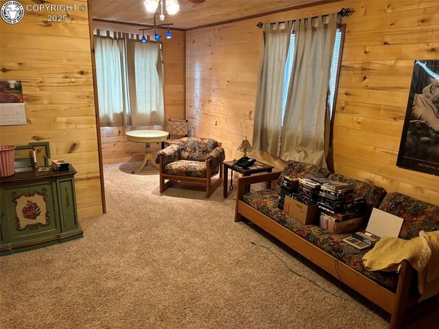 161 County Road 329a, Westcliffe, CO 81252 - photo 5