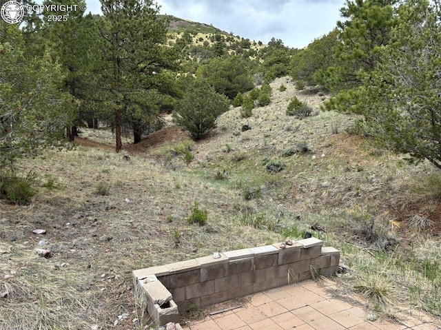 161 County Road 329a, Westcliffe, CO 81252 - photo 9