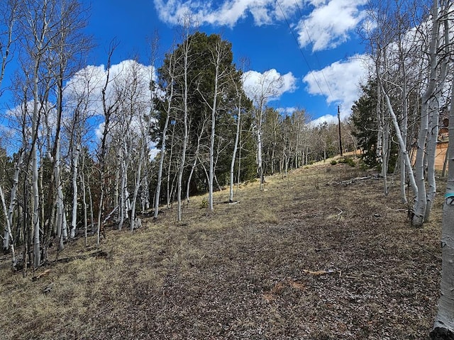 1289 Yorktown Rd, Cripple Creek CO, 80813 land for sale