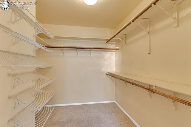 spacious closet with carpet