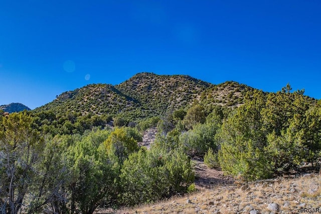 1762 Meadowdale Ln, Canon City, CO 81212 - photo 43