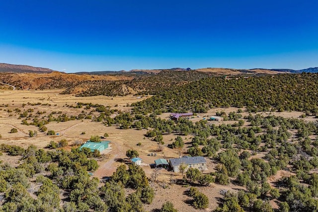 drone / aerial view with a mountain view