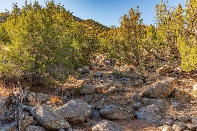 1762 Meadowdale Ln, Canon City, CO 81212 - photo 45
