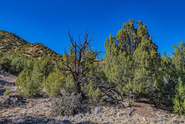 view of nature featuring a mountain view