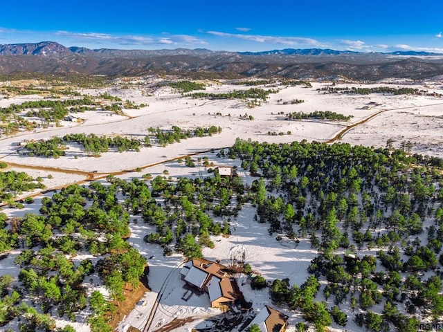 drone / aerial view with a mountain view