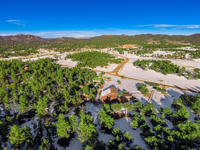 bird's eye view featuring a mountain view