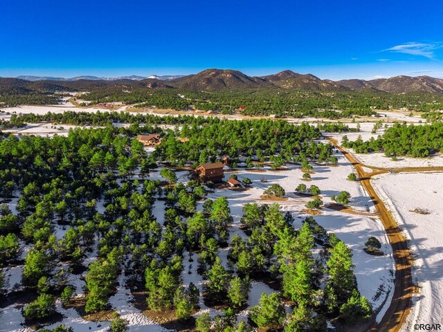 aerial view with a mountain view