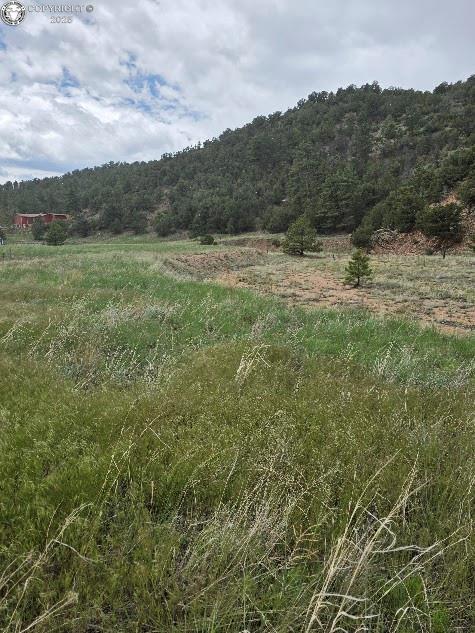 8099 County Road 28, Cotopaxi, CO 81223 - photo 9