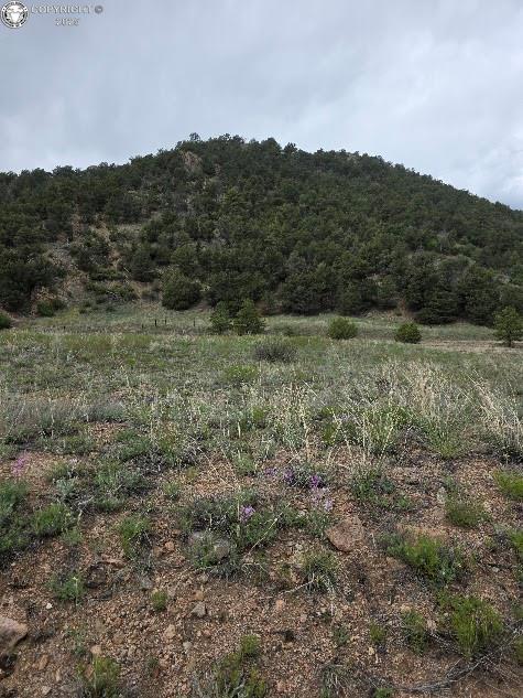 8099 County Road 28, Cotopaxi, CO 81223 - photo 4