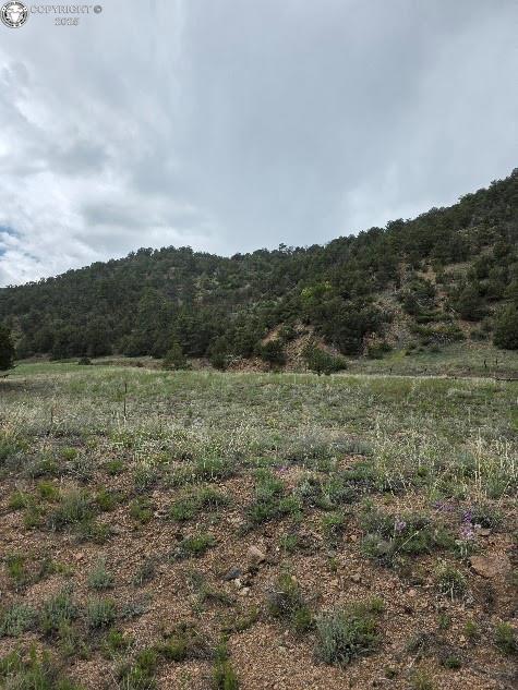 8099 County Road 28, Cotopaxi, CO 81223 - photo 2