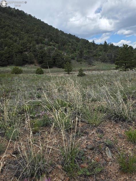 8099 County Road 28, Cotopaxi, CO 81223 - photo 7