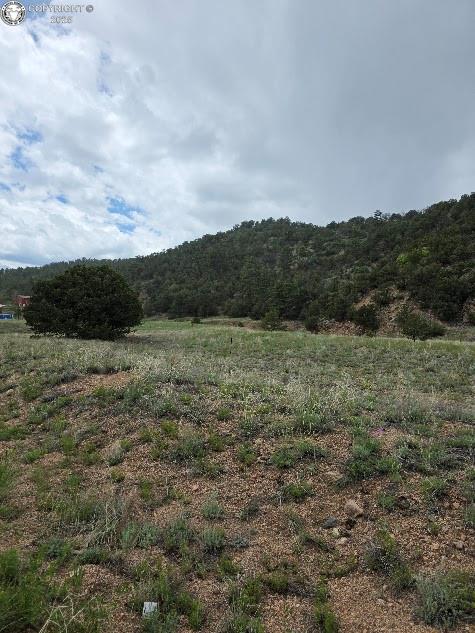 8099 County Road 28, Cotopaxi, CO 81223 - photo 3
