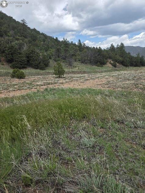 8099 County Road 28, Cotopaxi, CO 81223 - photo 8